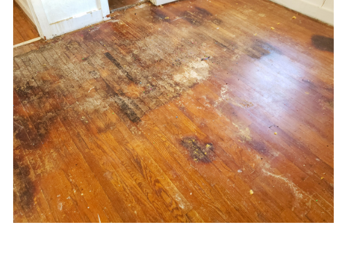 In home or business - Demo existing floor